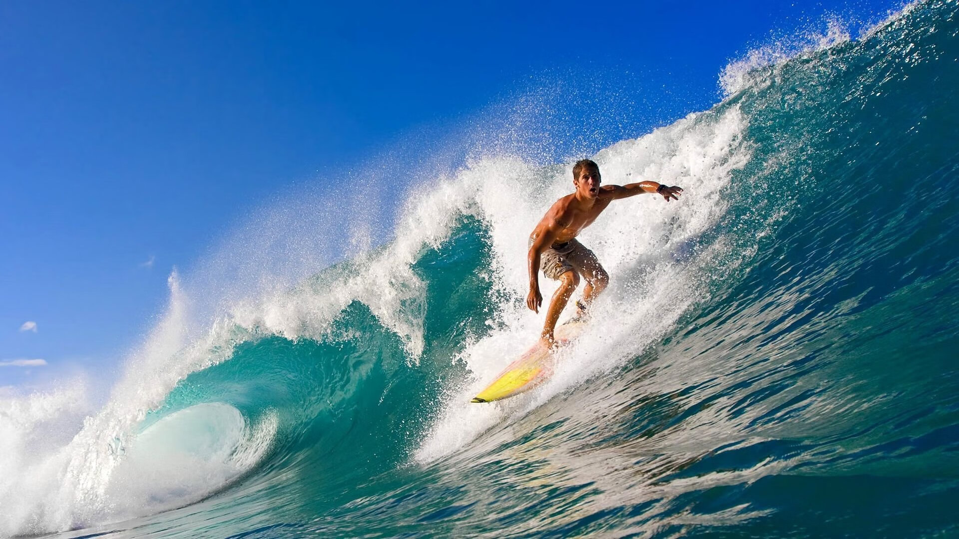 自由泳预赛波兰选手全部晋级，自由泳国际比赛