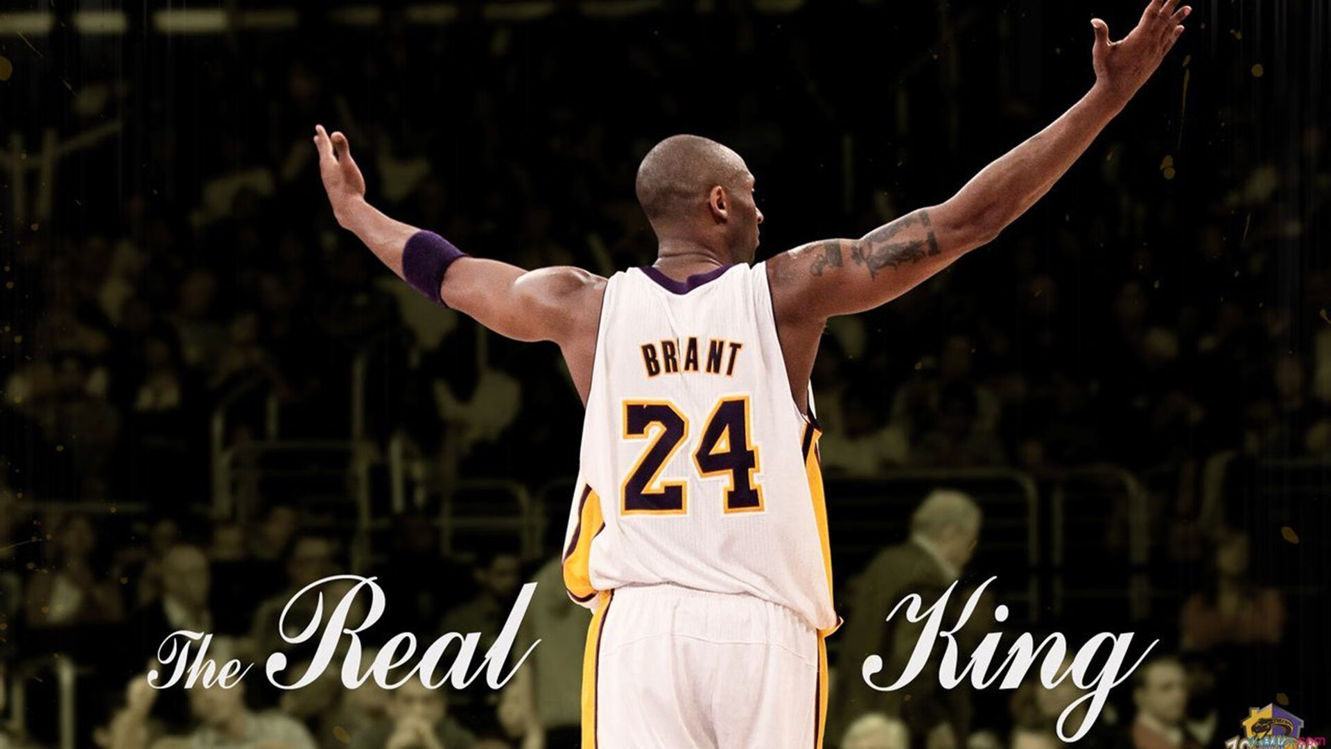 詹姆斯·奥康纳精准罚球的能力,帮助袋鼠队轻松克敌制胜,詹姆斯.奥康纳